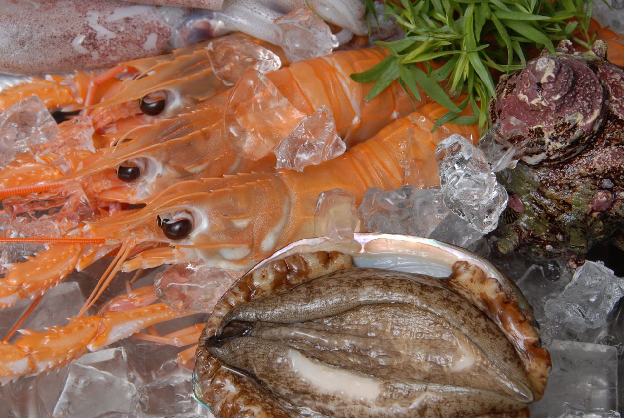 【通常価格】おまかせコース