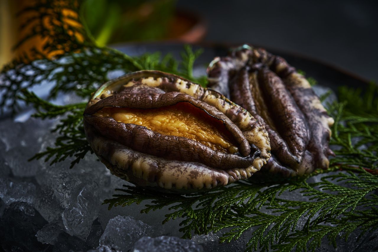 [Online reservation only, 10 meals available on weekdays] Fresh seasonal abalone and steak lunch course (until the end of December)