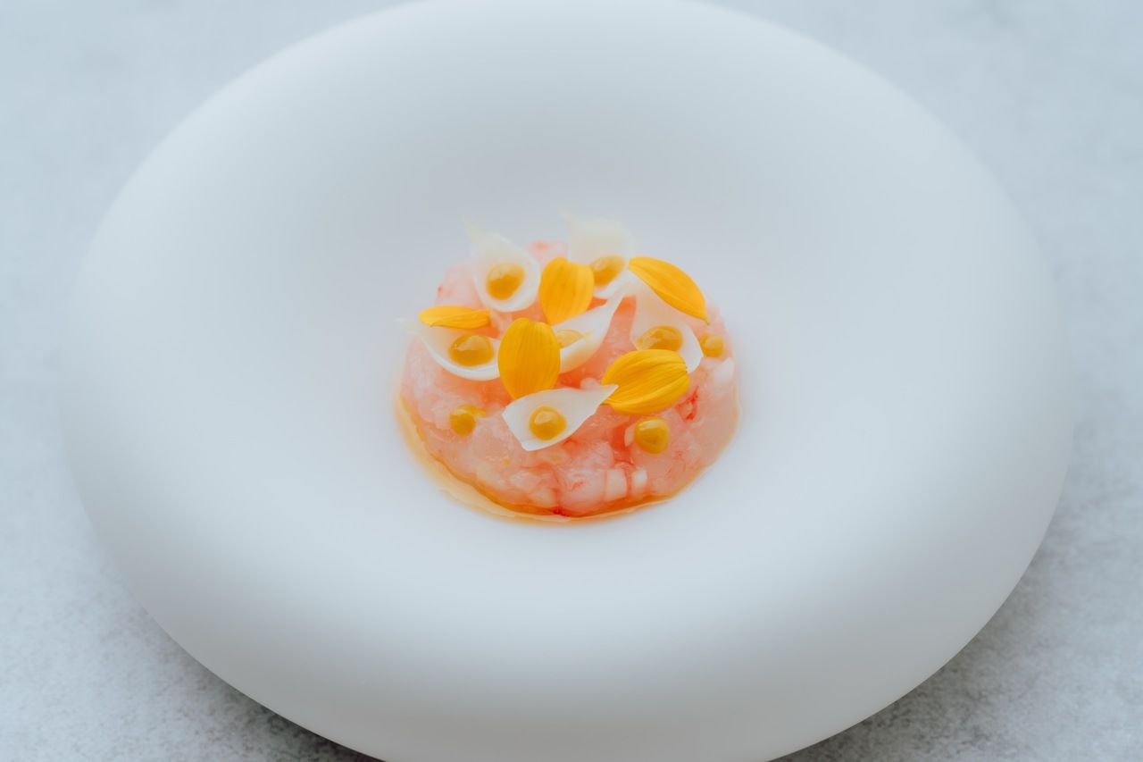 〈Menu déjeuner 〉ランチ ライトコース