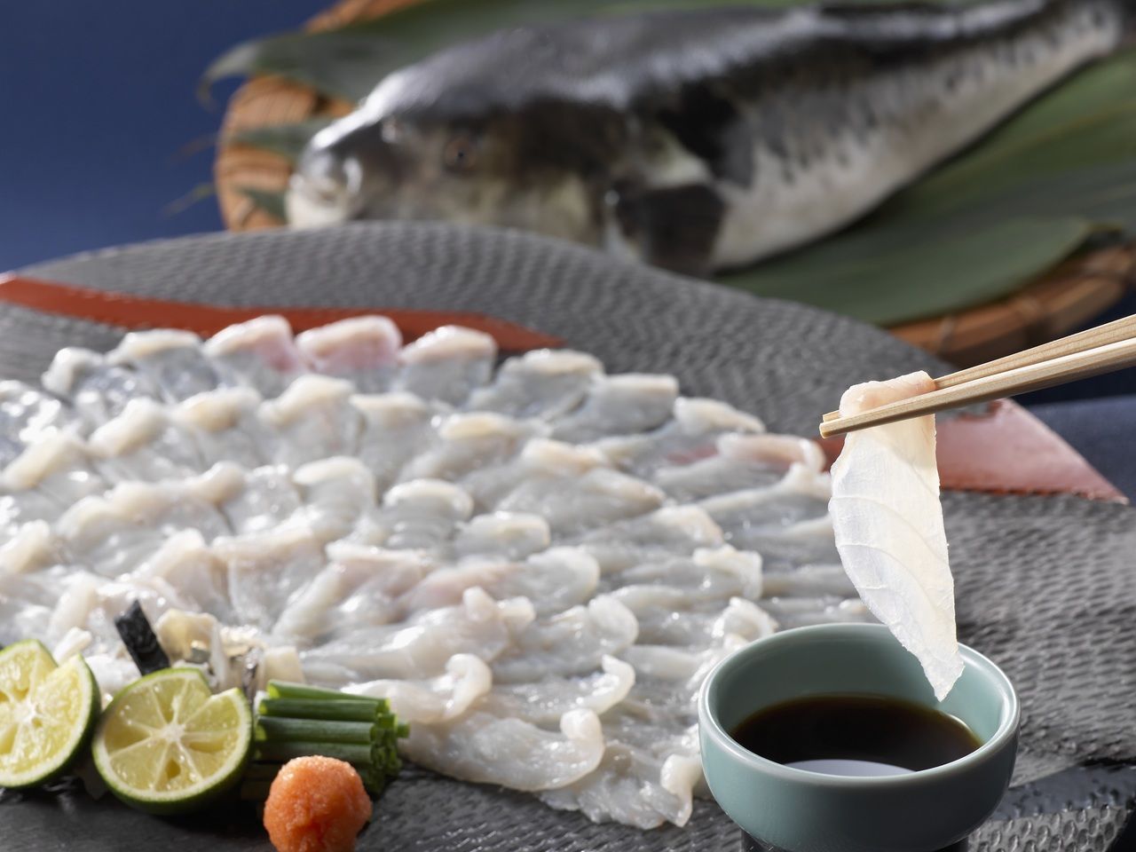 Awaji Island 3-year-old tiger pufferfish hotpot