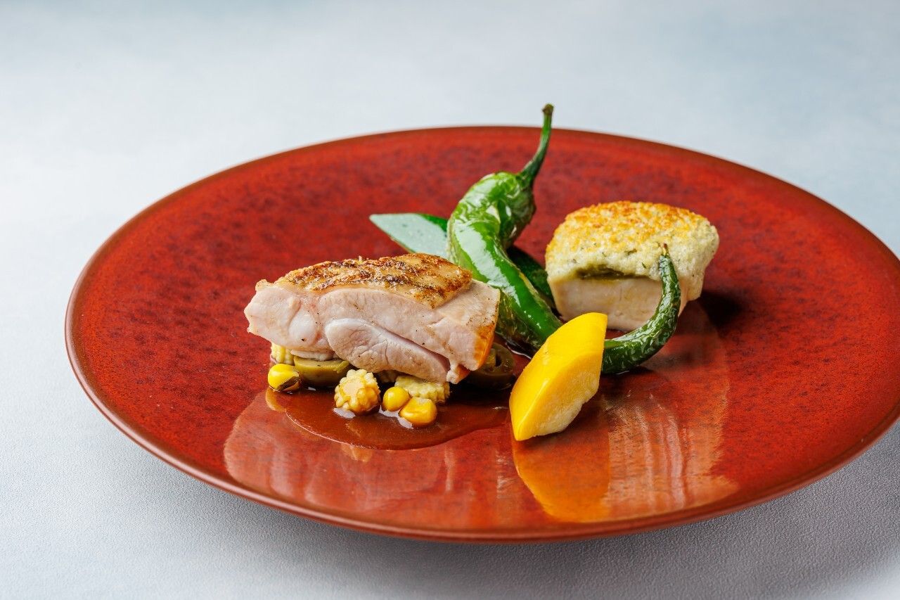 Kamogawa Kyoto French Cuisine | Choose from 4 main dishes