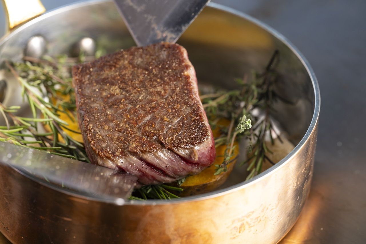 【ディナーコース】