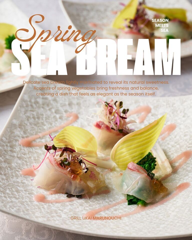 [Seasonal Lunch Course ]