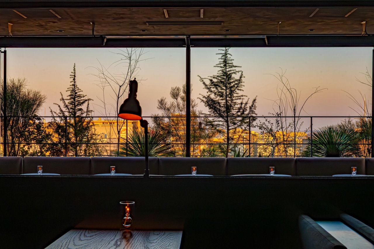 PEP LOUNGE Free Drink