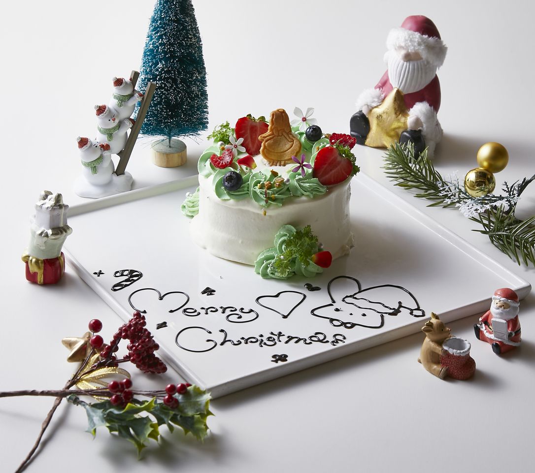 【Xmas期間限定】メッセージ入り☆幻想の国のアリス特製Xmasケーキ