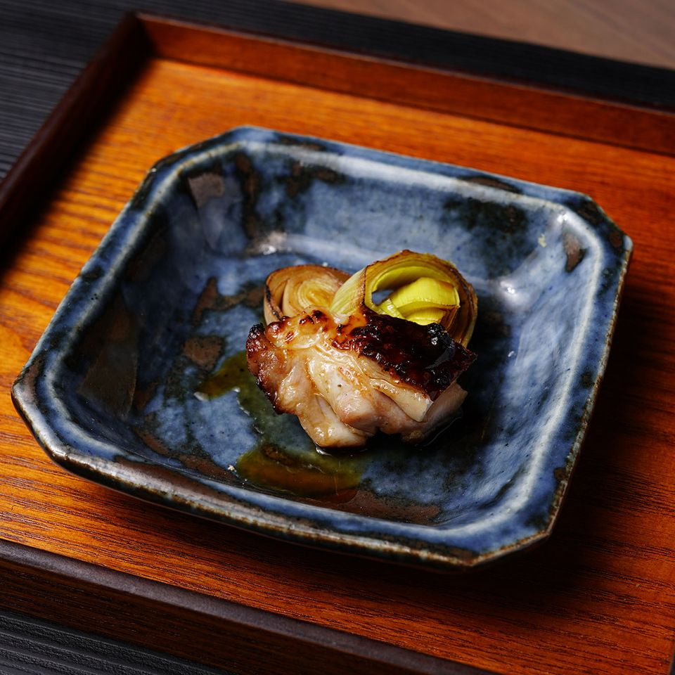 KeicaShort Course (Silicification Short Course)