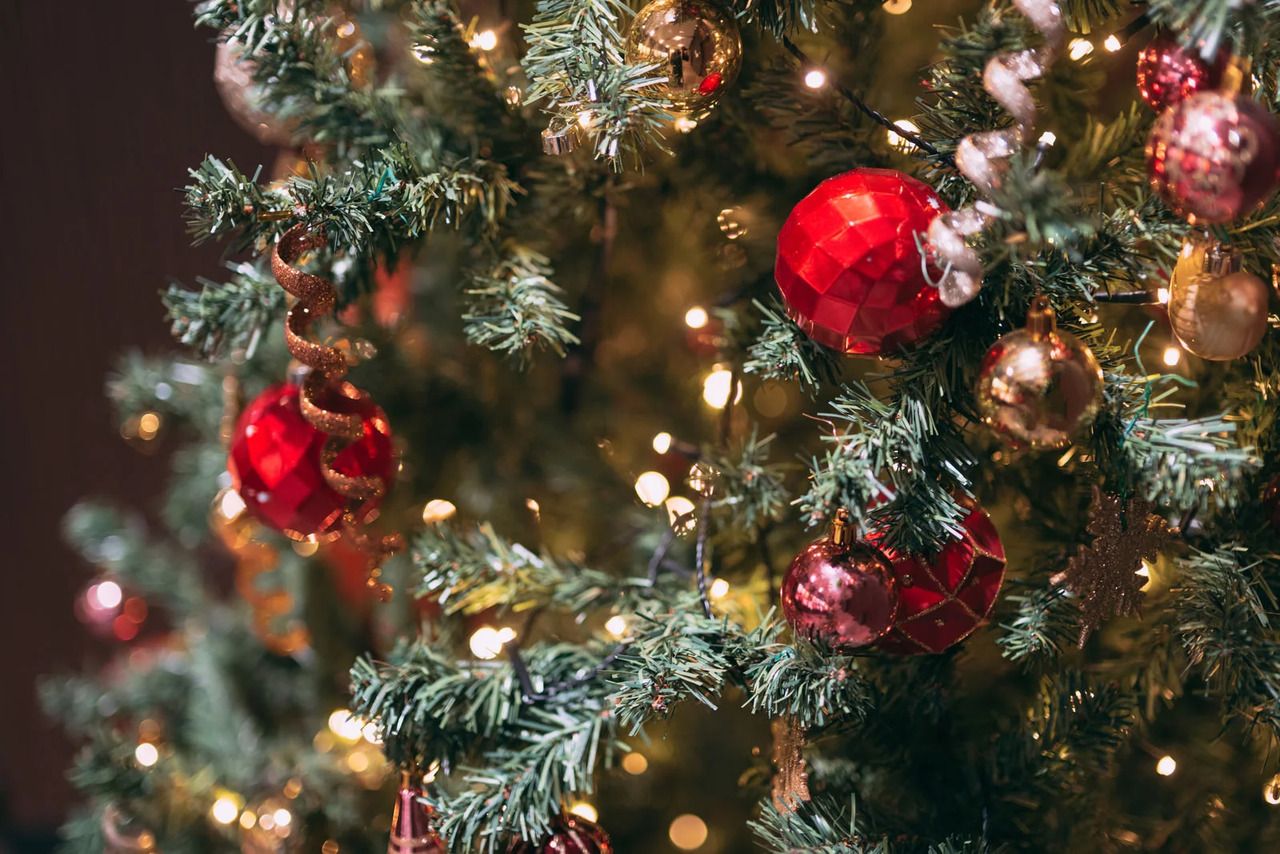 【12/24.25クリスマス5組限定】メインを選べる「北イタリアの冬」セミビュッフェ 　ワンドリンク付きプラン