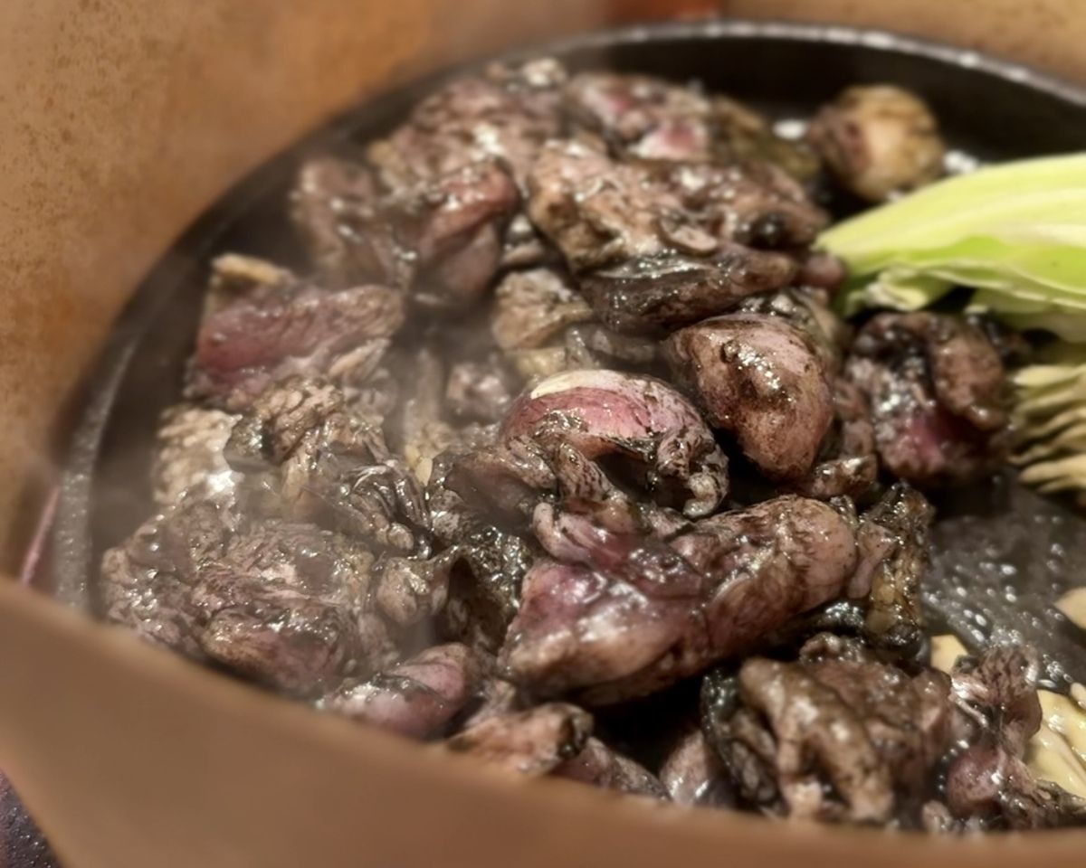 特格特格专业课程