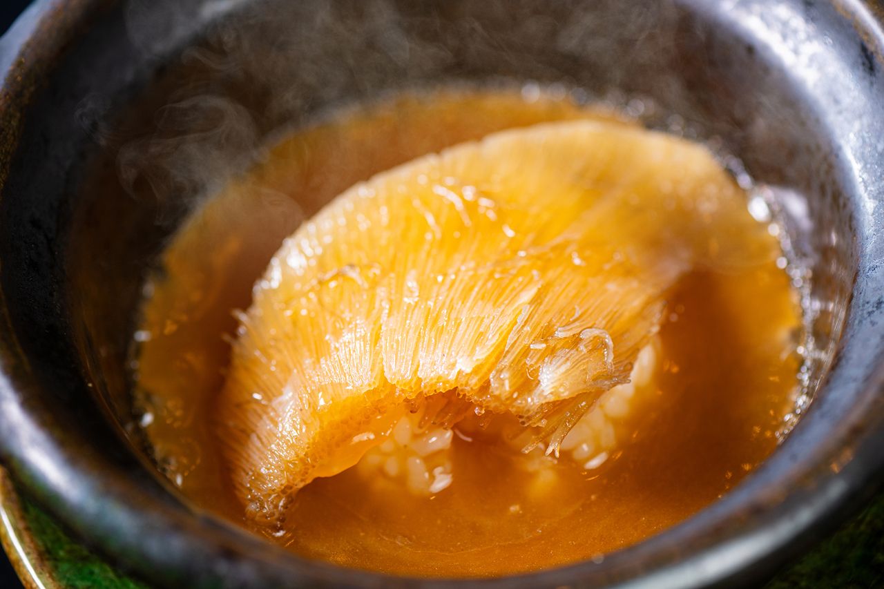 季節のおまかせコース