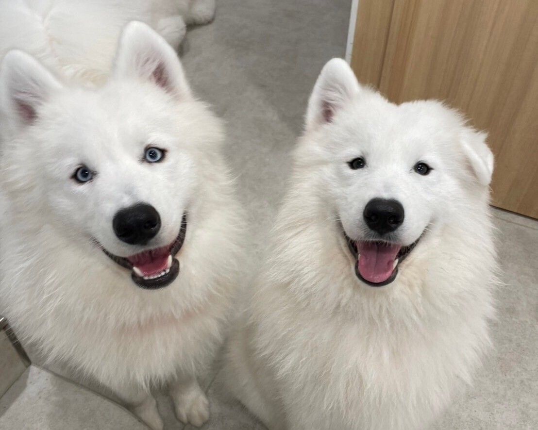 ≪골든 위크 기간≫통상 티켓(50분)