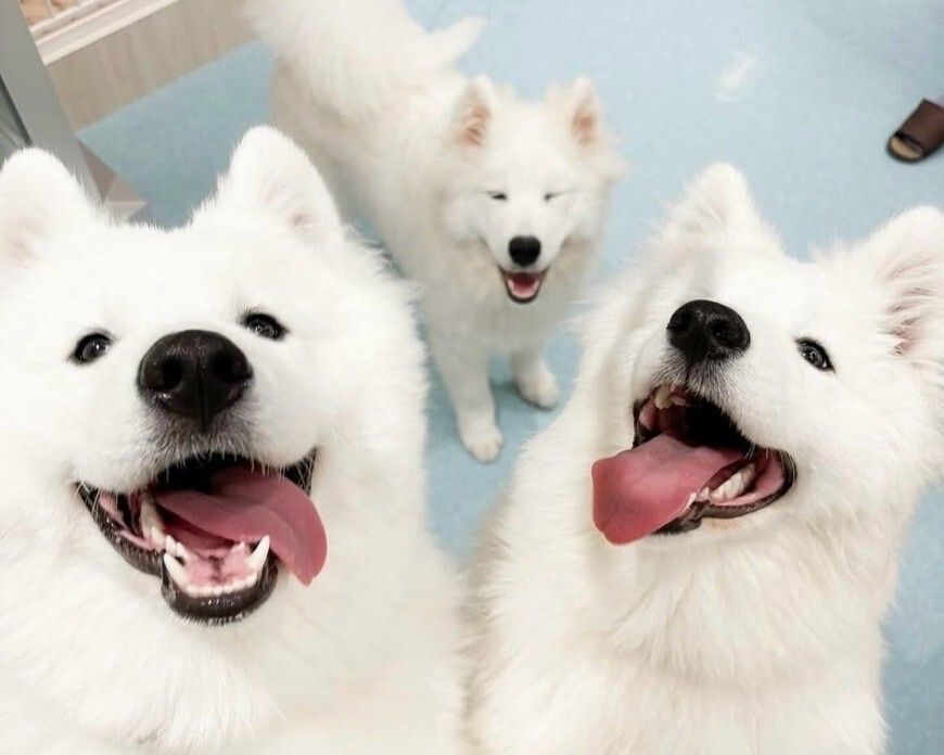 ≪ゴールデンウィーク期間≫通常チケット（50分）