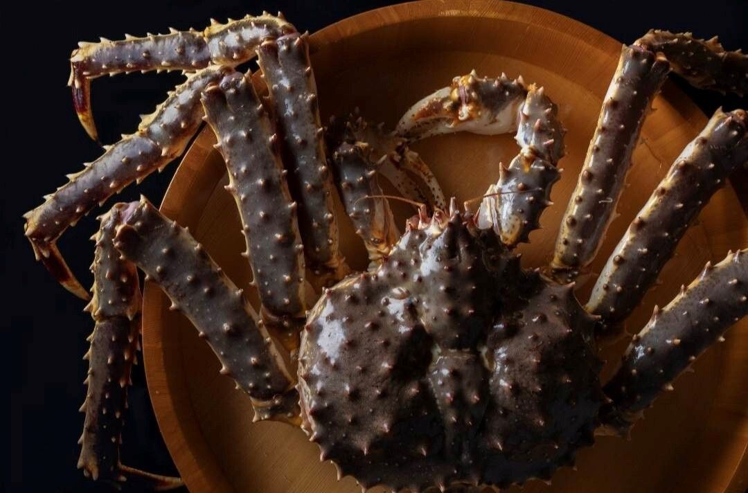 [Counter] Course featuring domestic matsutake mushrooms and live snow crab