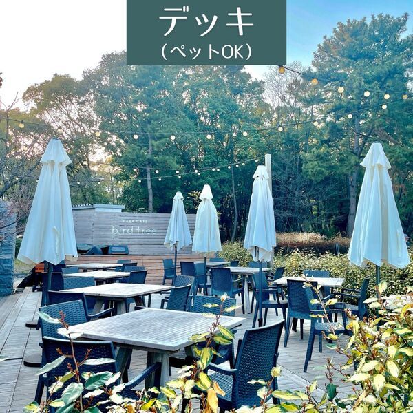 屋外デッキ席