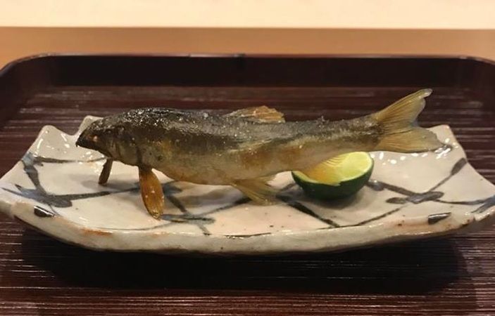 日本料理 寿こう