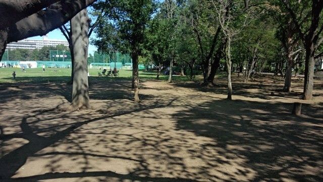 武蔵野中央公園