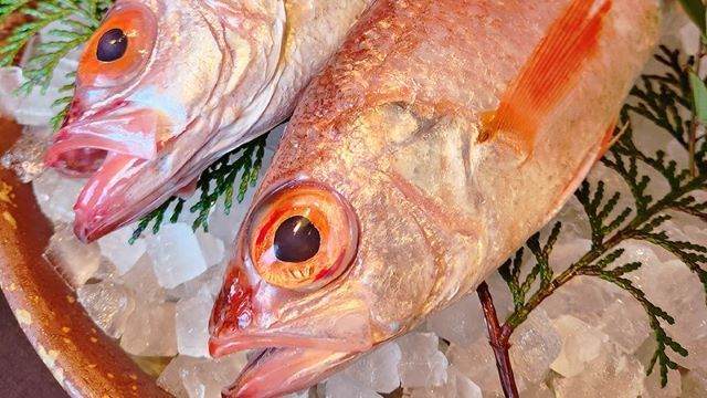 Ginza Hakobune Daiginjo Shizuku ten