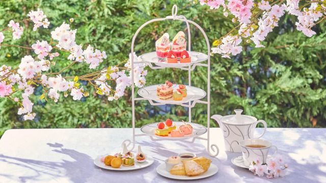 TIME NEST(タイムネスト) / ザ ストリングス 博多