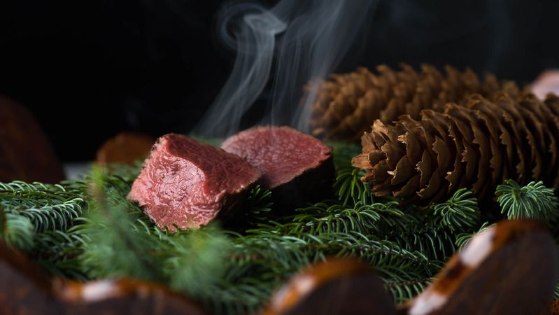 Moliere Montagne / Park Hyatt Niseko HANAZONO