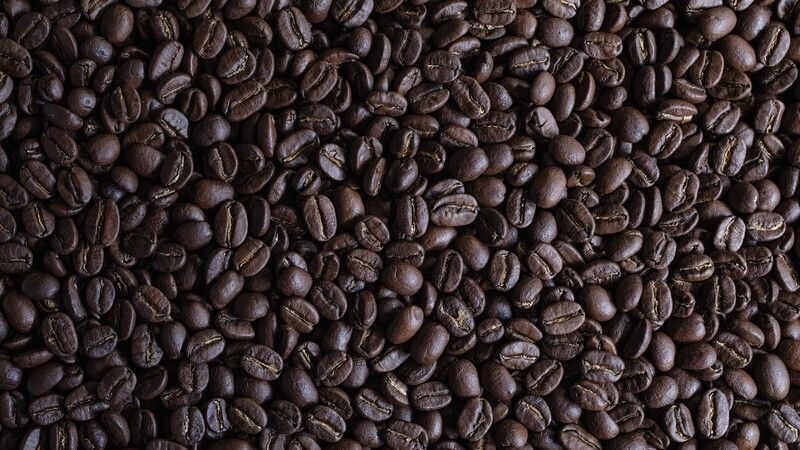 KOFFEE MAMEYA -Kakeru-