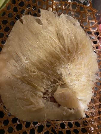 Yuechai Zhongfa