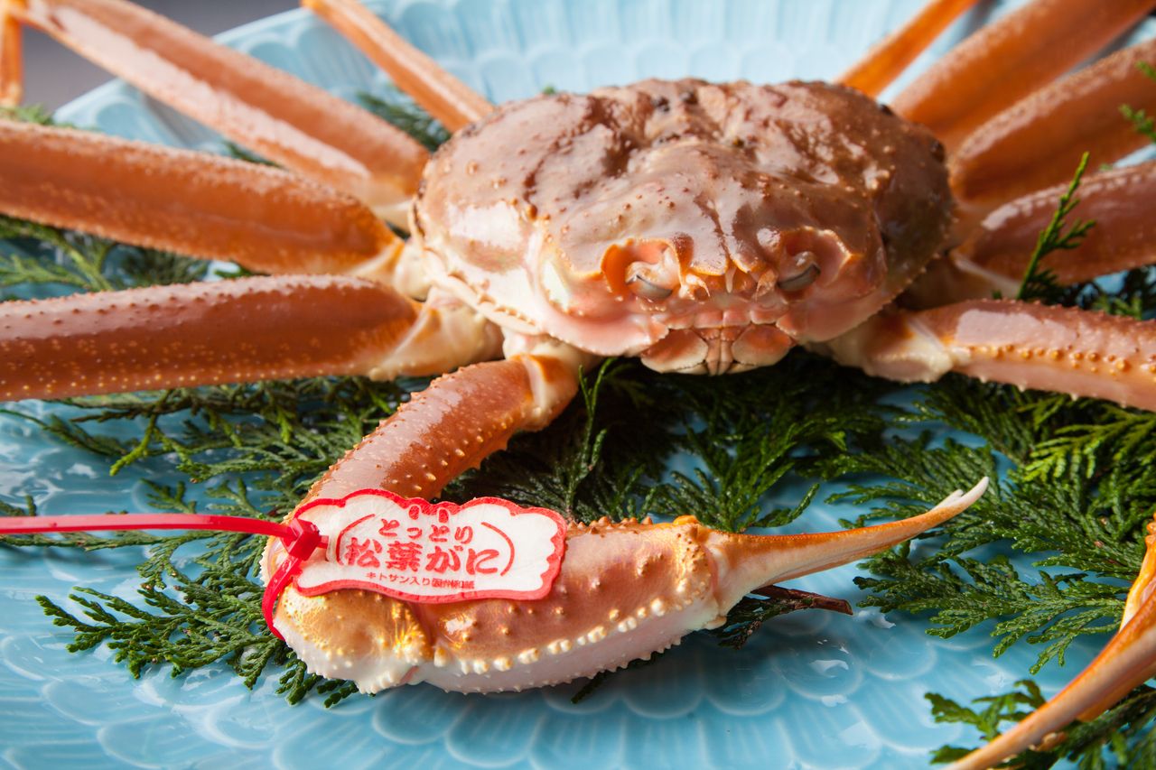 Extra-large Matsuba crab course delivered directly from the auction site *One bowl per person [Serving period: November 6th to late March] (Varies depending on purchase price)