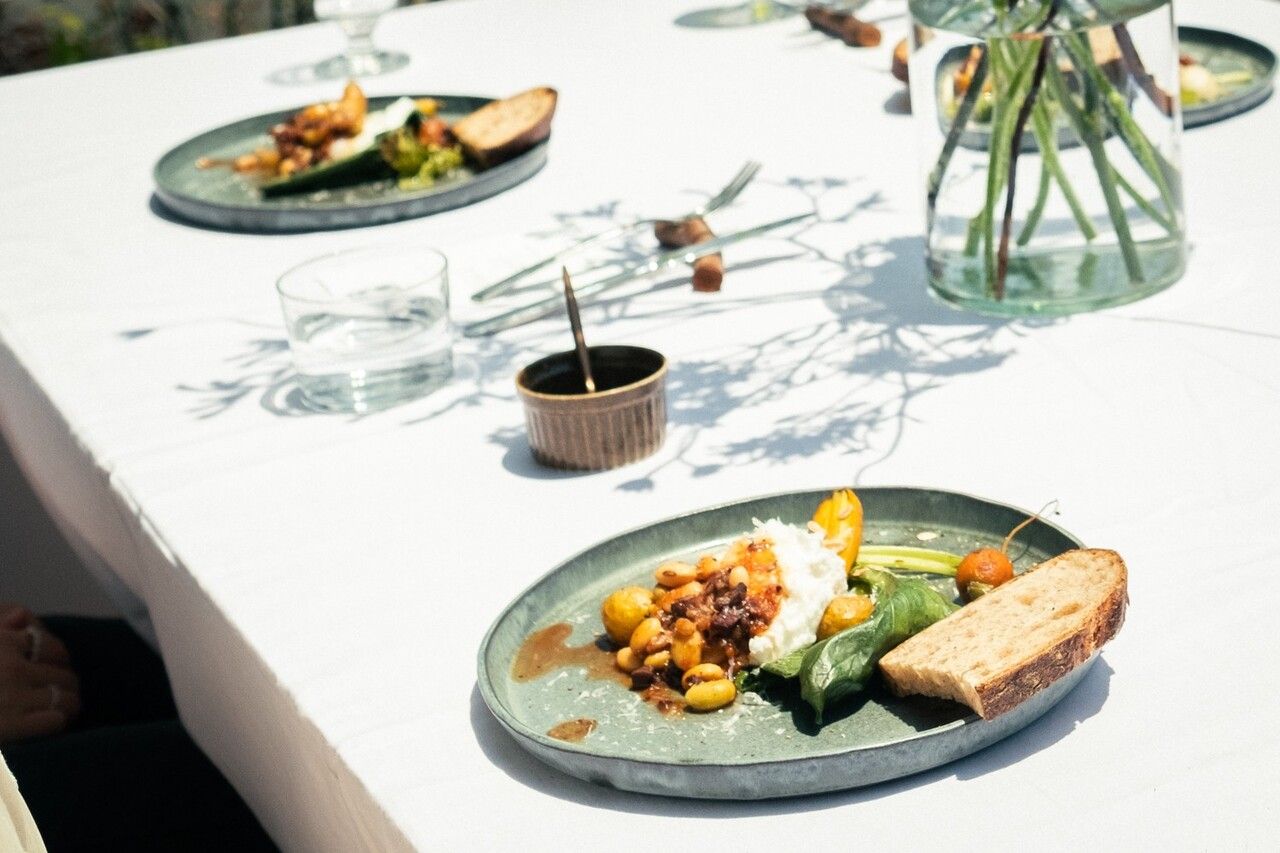 Morning PLANT vol.31