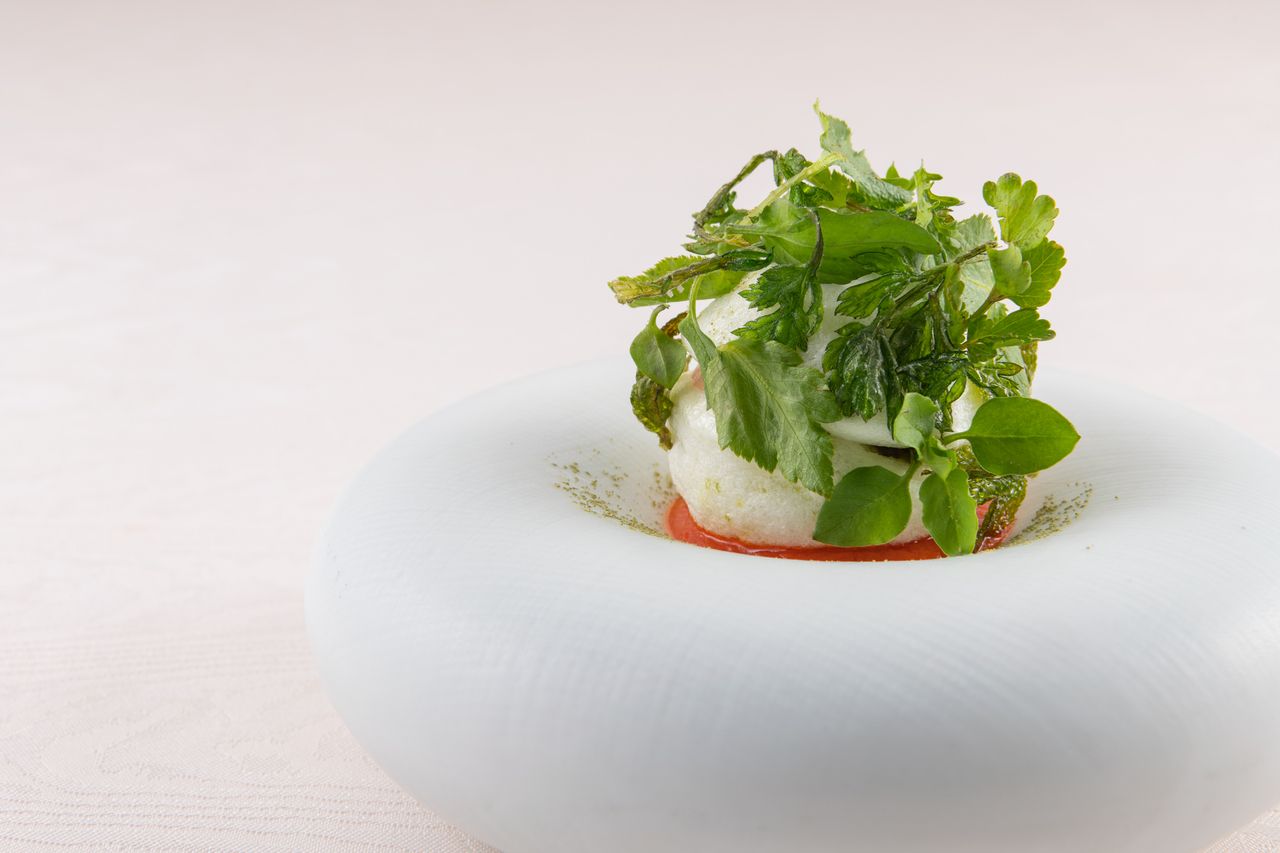 《  QUEUE DE LAPIN 》Country tasty foods course menu