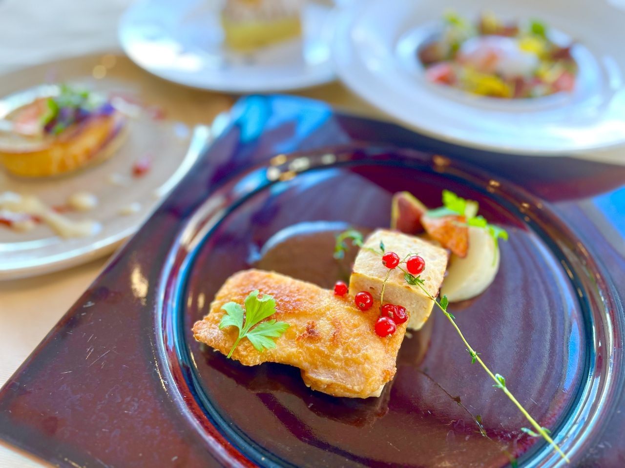 Full Course "SHIKON"