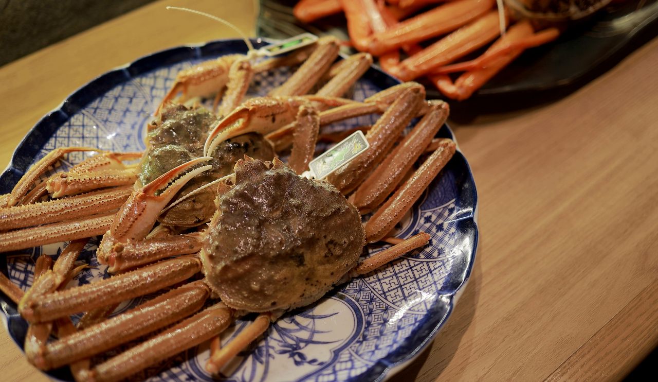 【From October】 Live snow crab full-course (Prices may vary depending on procurement costs)