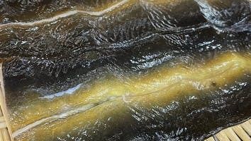 【天然】天然特制鳗鱼套餐（附白烤） 使用羽坂米制作的迷你套餐