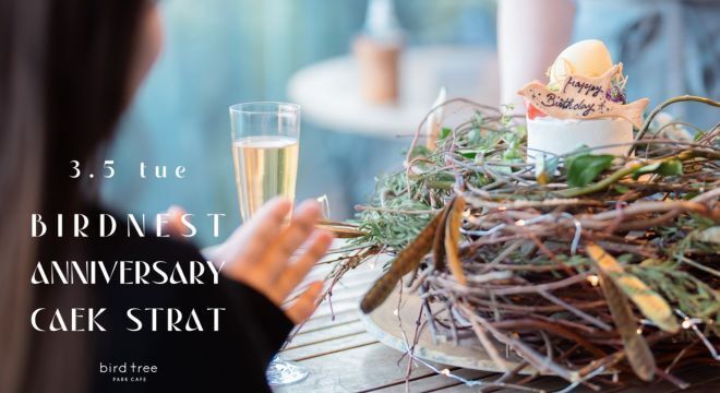 (ディナー）店内　バーズネストアニバーサリーコース “鳥の巣バーズネストケーキとハラミステーキ・旬鮮魚のWメインコース"