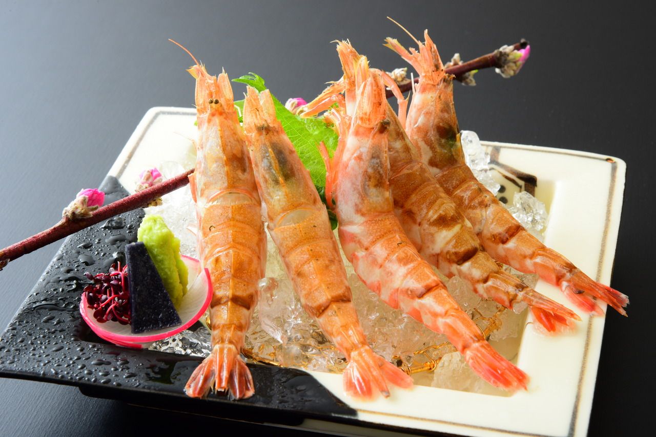 もさ海老お造り