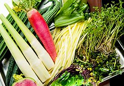 ☆旬の食材を使ったショートコース【雲海コース】