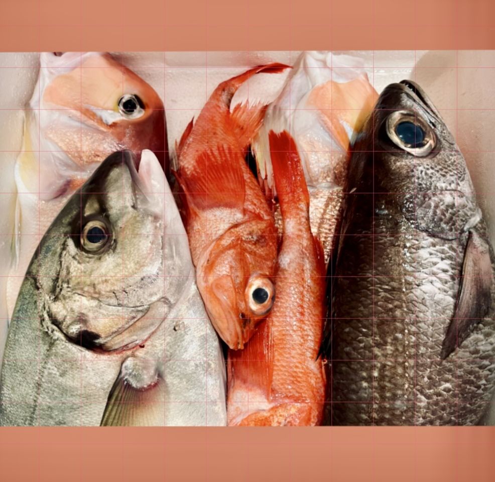 [Sundays ] Lunch: Chef's choice full course