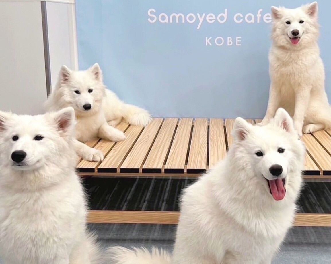 Weekends and Holidays: Regular ticket (50 minutes)