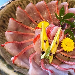 [In-store seating] Aged golden eye snapper special course, 8 dishes total