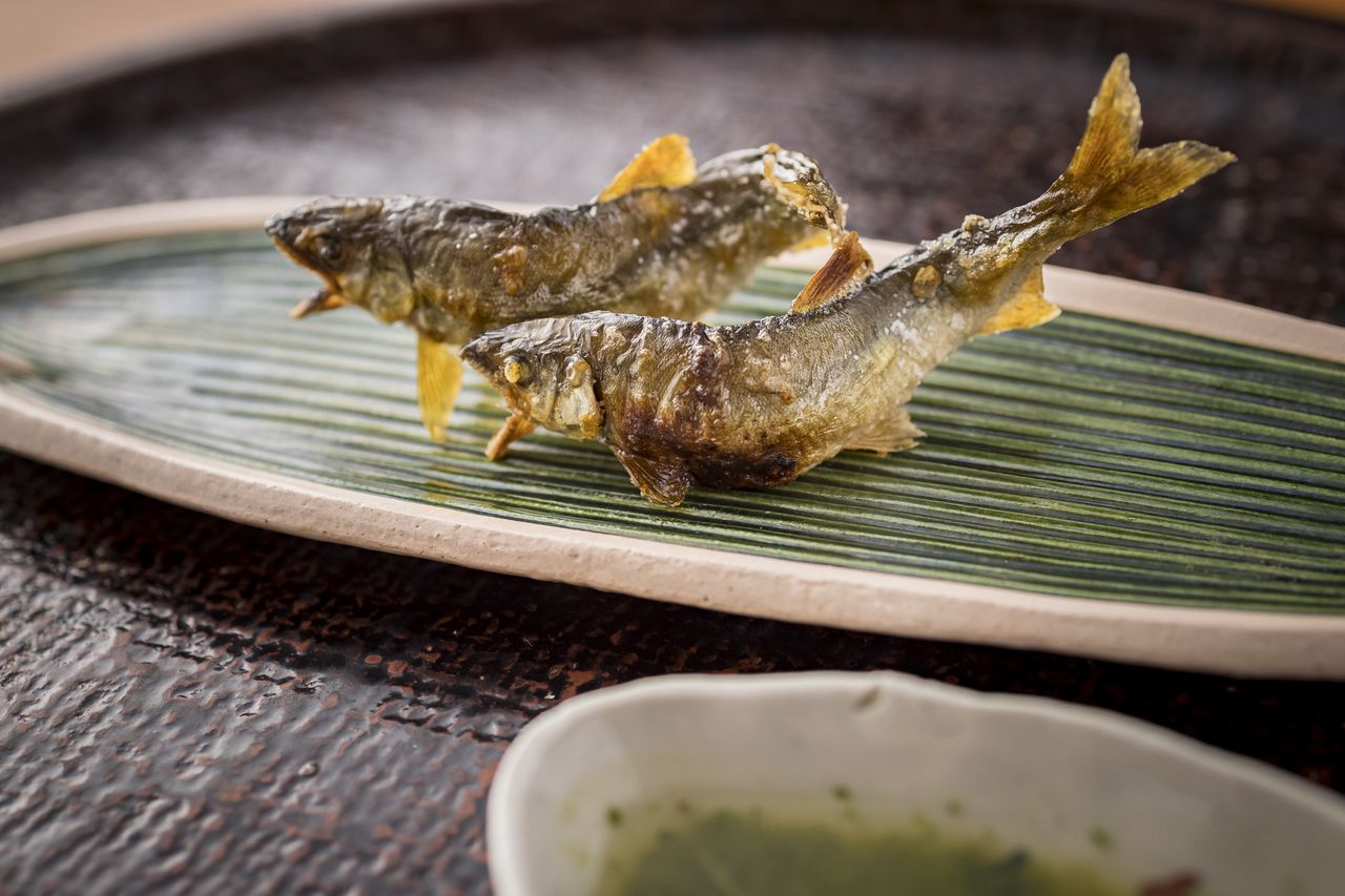 平日お昼限定コース