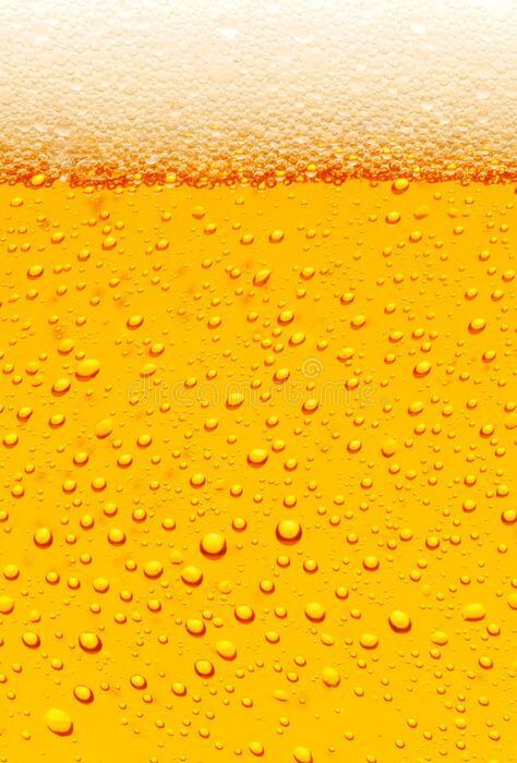 【夜】平日限定/飲み放題のみご予約 (席指定不可)