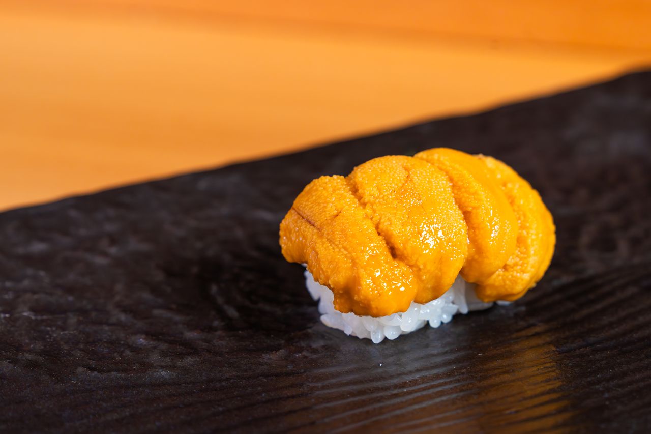 清波[极限]课程