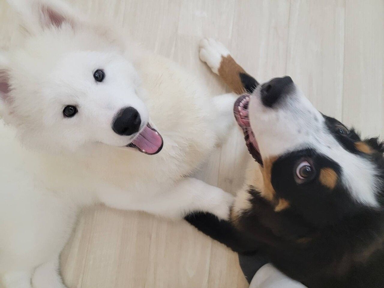 [Weekdays] Relaxing Futamofu Course (120 minutes)