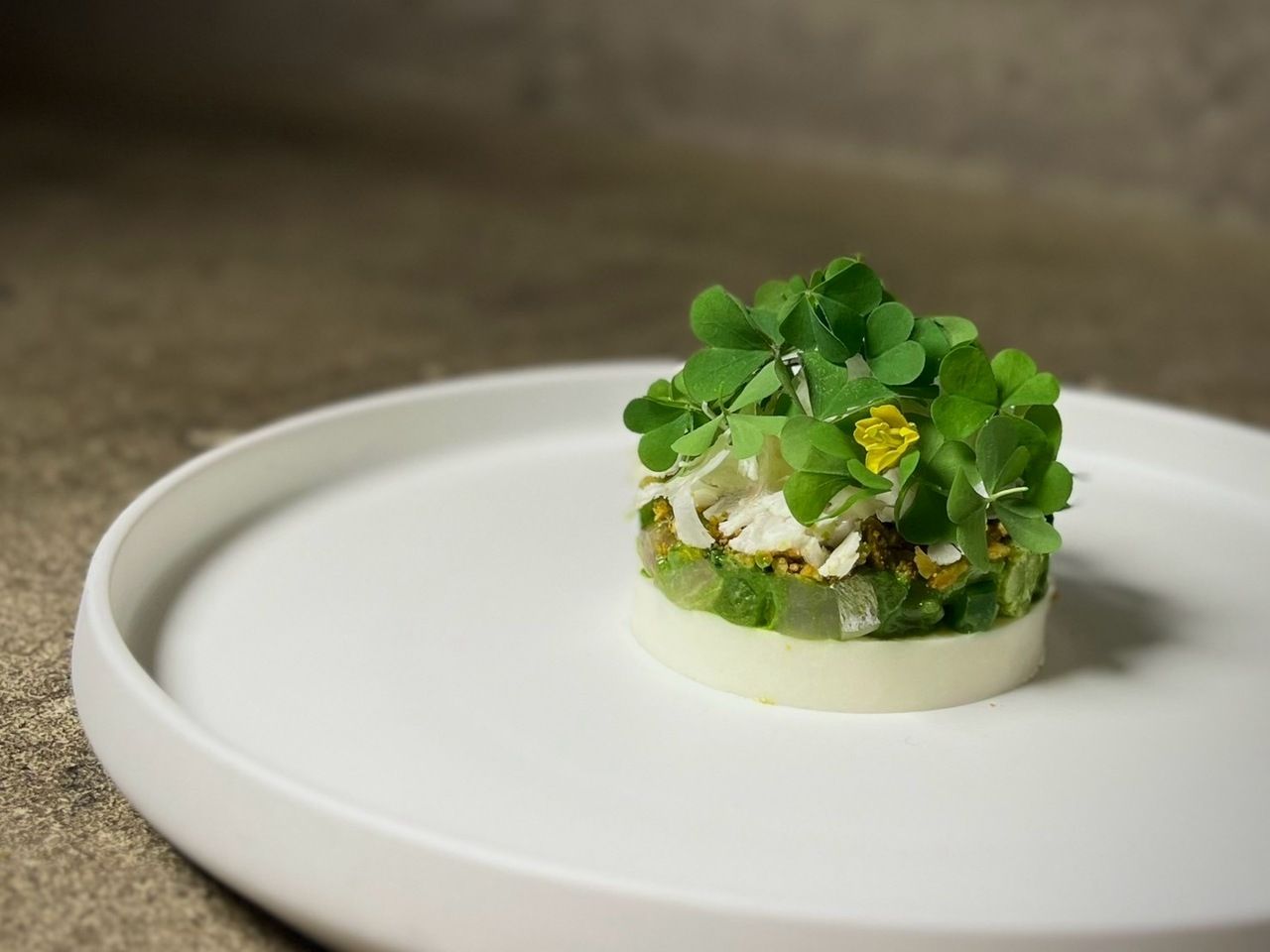 Lunch course (Saturday only) with 5 types of pairing drinks