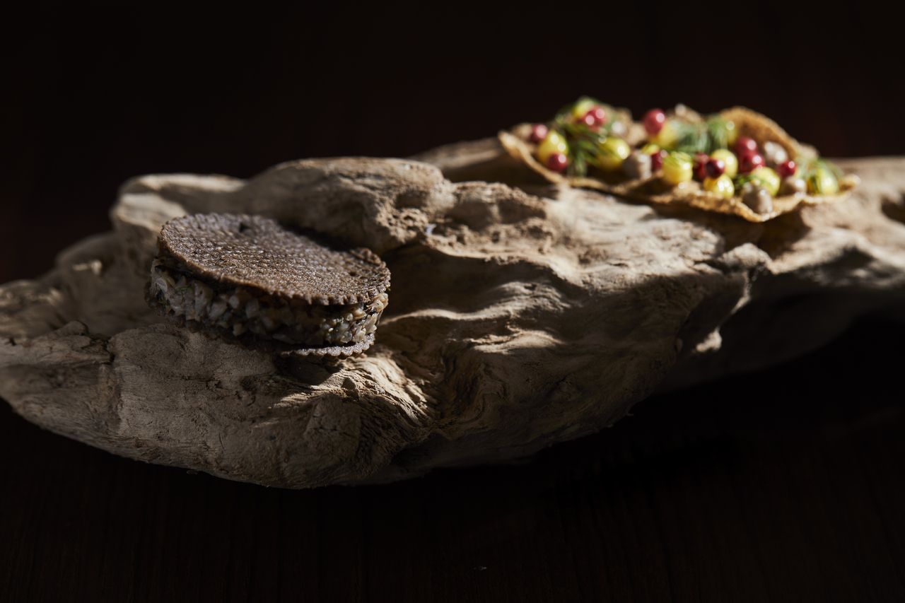 おまかせコース