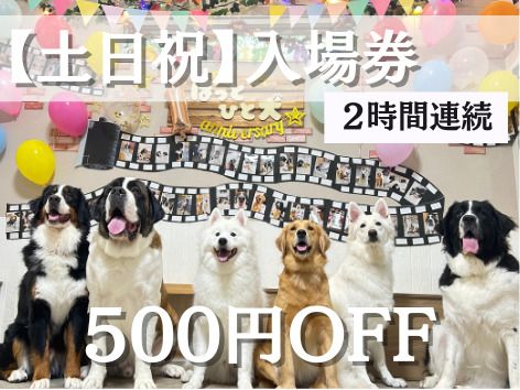 入場券（土日祝）2時間連続