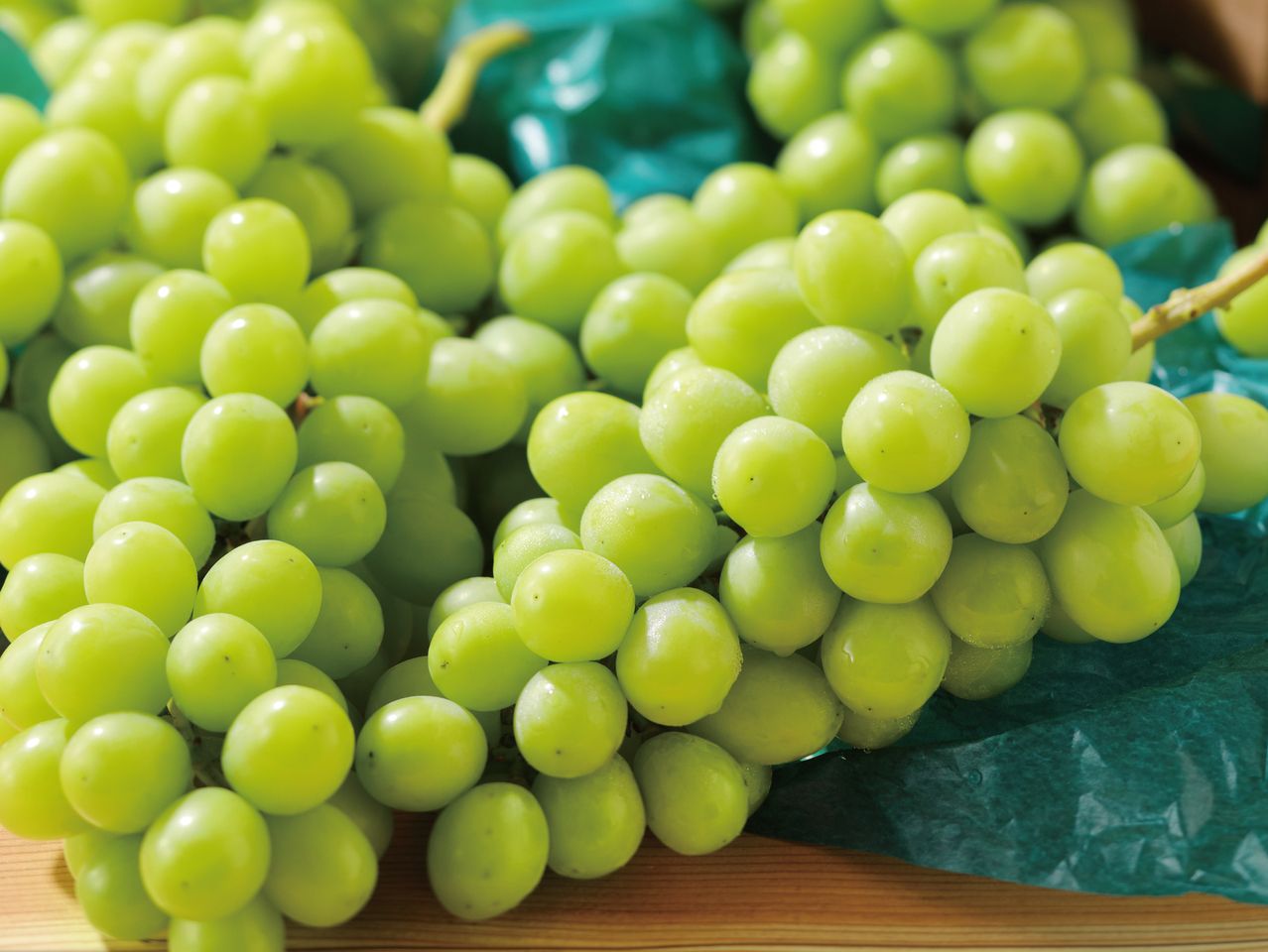 Fruit Course "Shine Muscat" (Adult price)