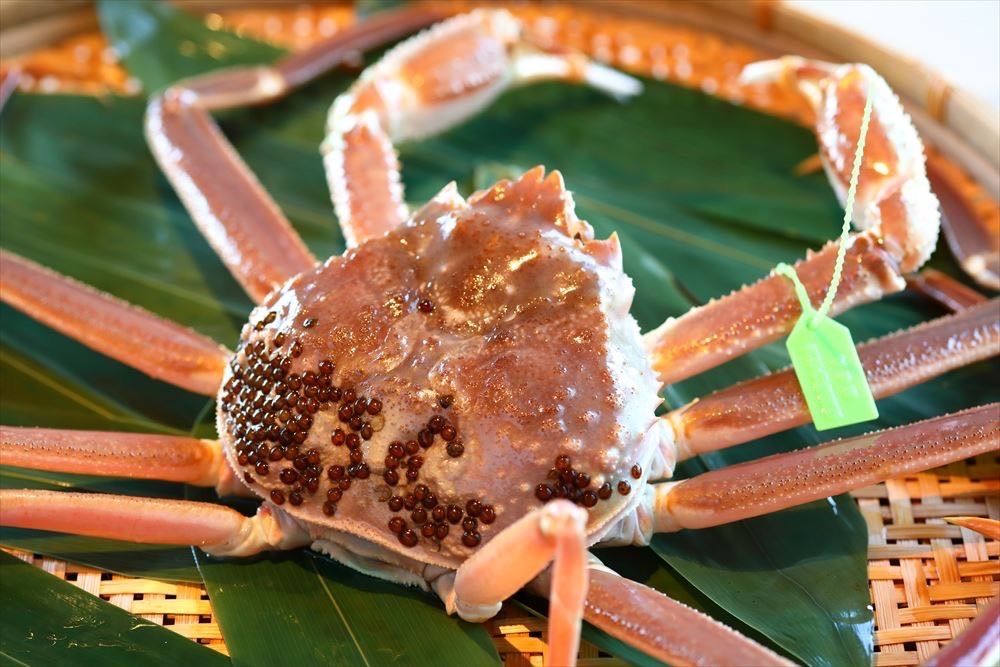 Matsuba crab: 60,000 to 80,000 yen (price for 2 people)