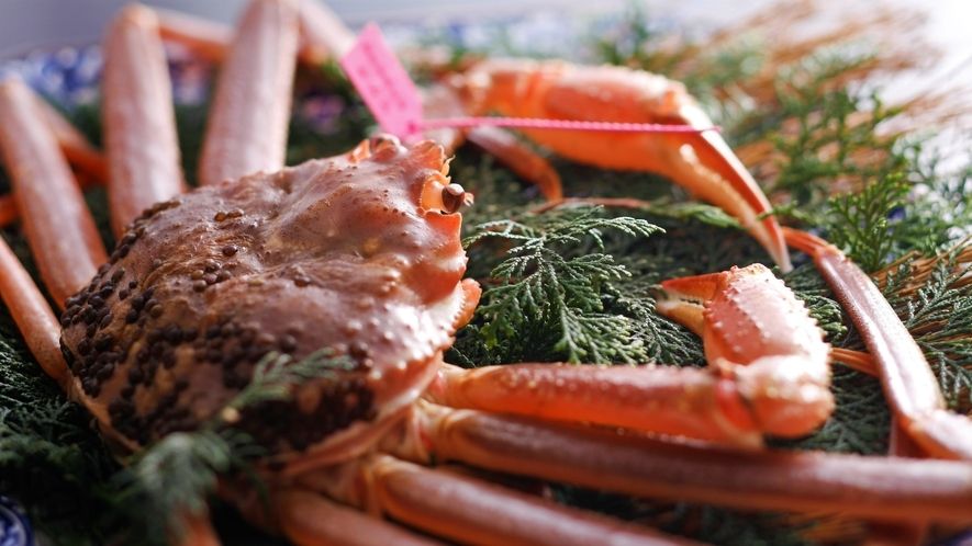 활 즈와이 게 코스