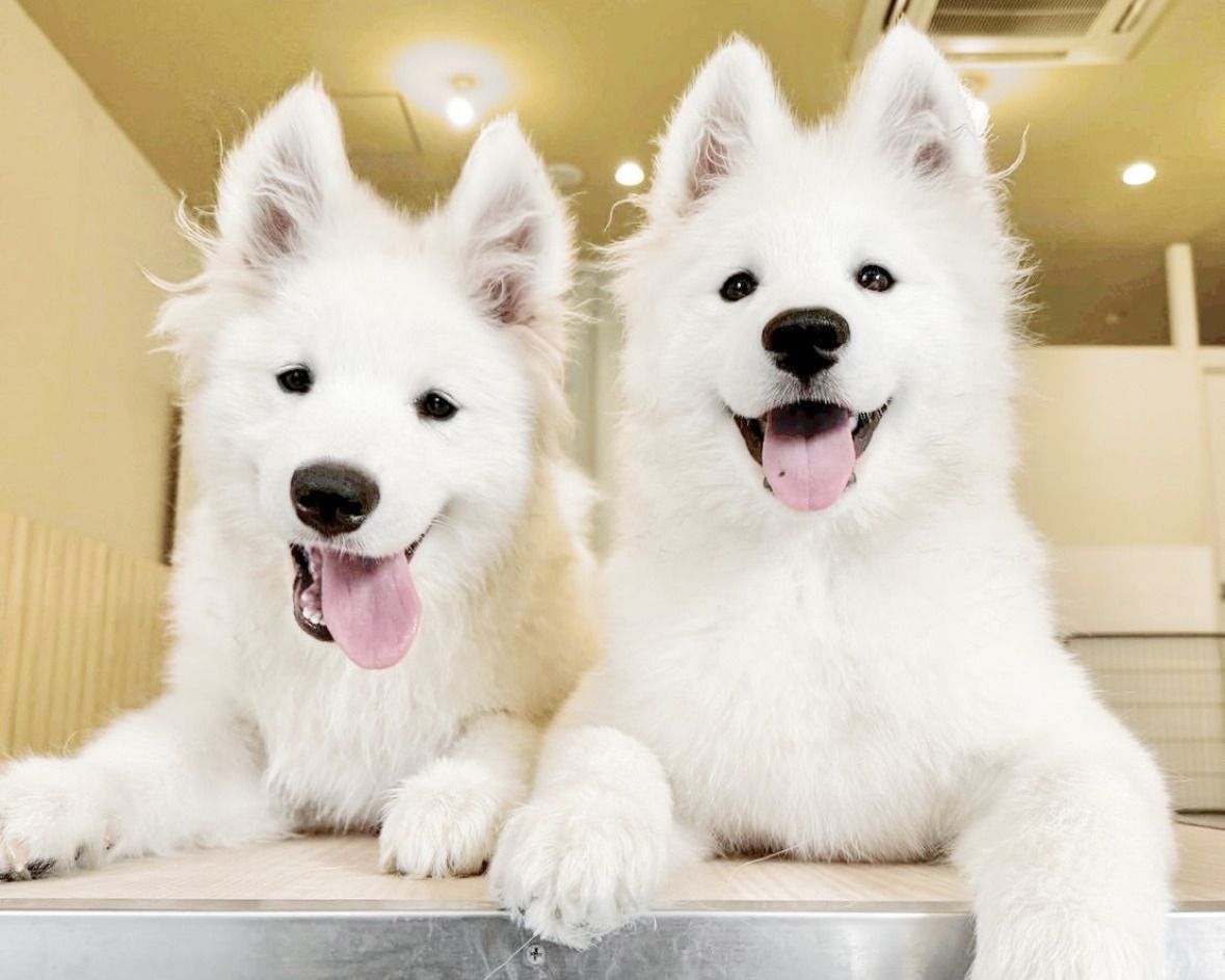 ≪겨울 휴가 기간 ≫통상 티켓(50분)