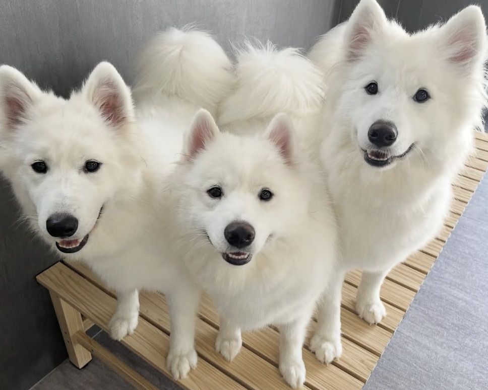 ≪冬休み期間 ≫通常チケット（50分）