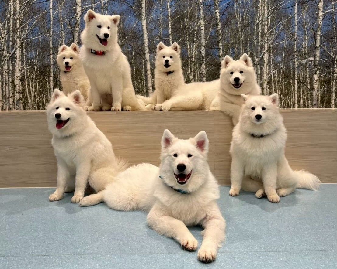 ≪冬休み期間 ≫通常チケット（50分）