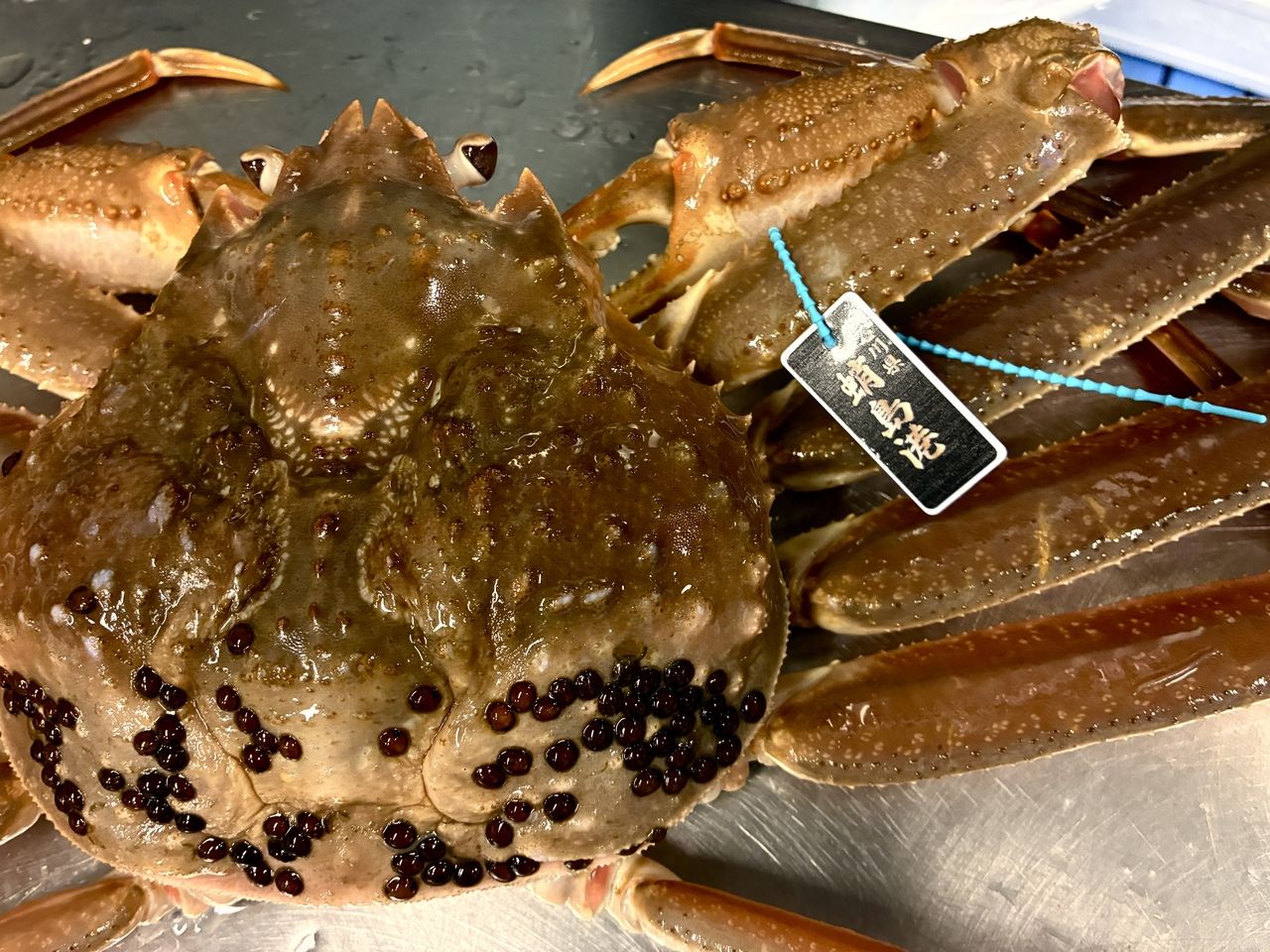 Kanazawa Luxury Kanno Crab Fair 1/9~2/5